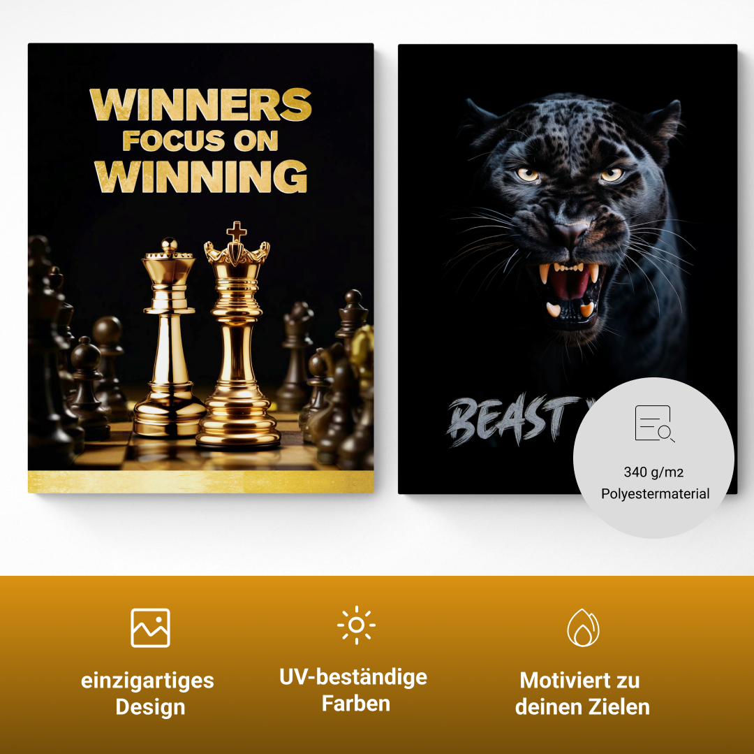 Winner und Beastmode Bundle